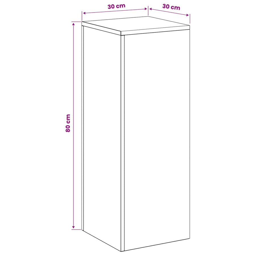 Plantenstandaard 2 pcs zilver 30 x 30 x 80 cm Roestvrij staal