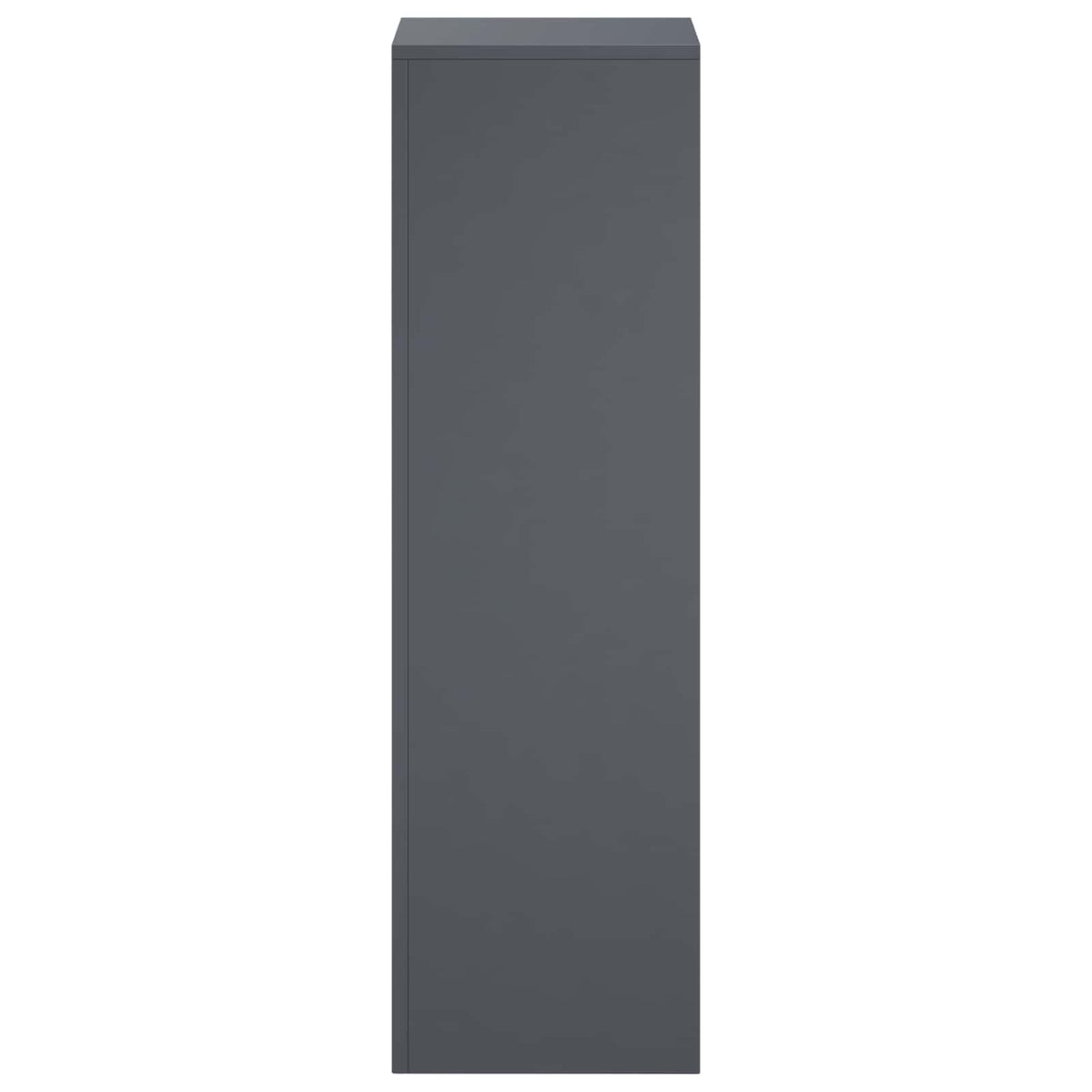 Plantenstandaard Antraciet 30 x 30 x 100 cm Roestvrij staal