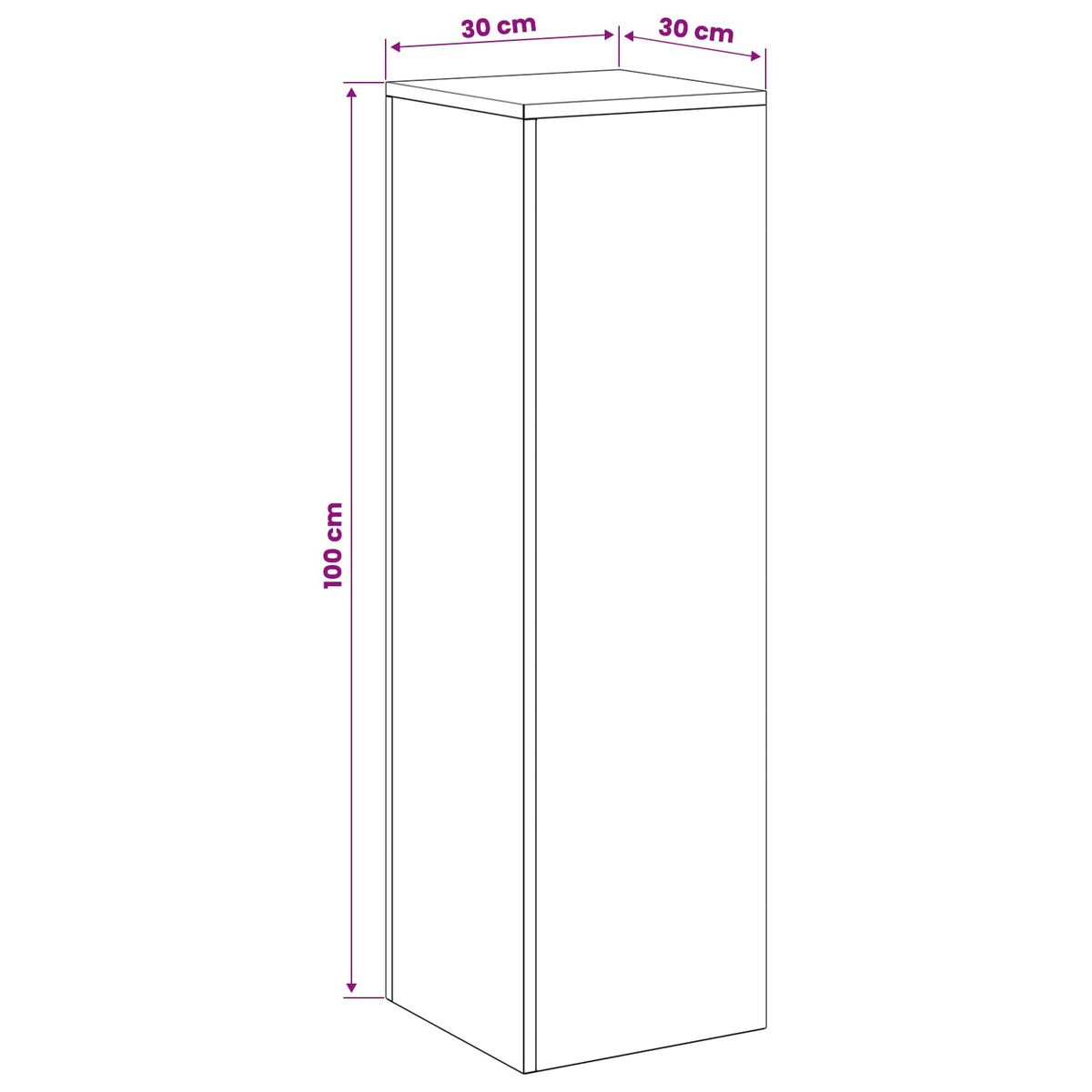 Plantenstandaard 2 pcs zilver 30 x 30 x 100 cm Staal