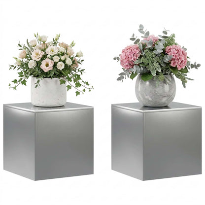 Plantenstandaard 2 pcs zilver 40 x 40 x 40 cm Roestvrij staal