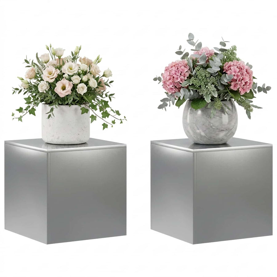 Plantenstandaard 2 pcs zilver 40 x 40 x 40 cm Roestvrij staal