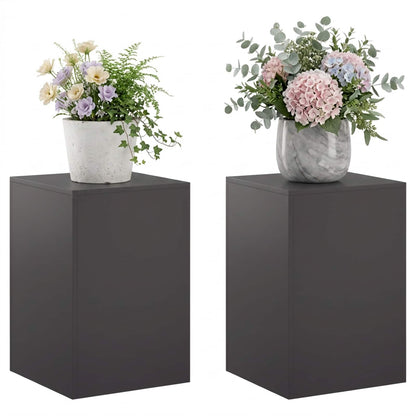 Plantenstandaard 2 pcs Zwart 40 x 40 x 60 cm Staal