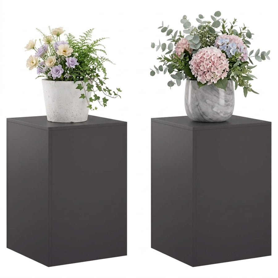 Plantenstandaard 2 pcs Zwart 40 x 40 x 60 cm Staal