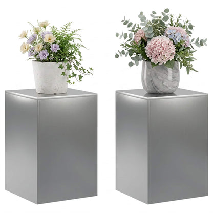 Plantenstandaard 2 pcs zilver 40 x 40 x 60 cm Roestvrij staal