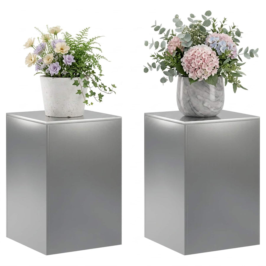 Plantenstandaard 2 pcs zilver 40 x 40 x 60 cm Roestvrij staal