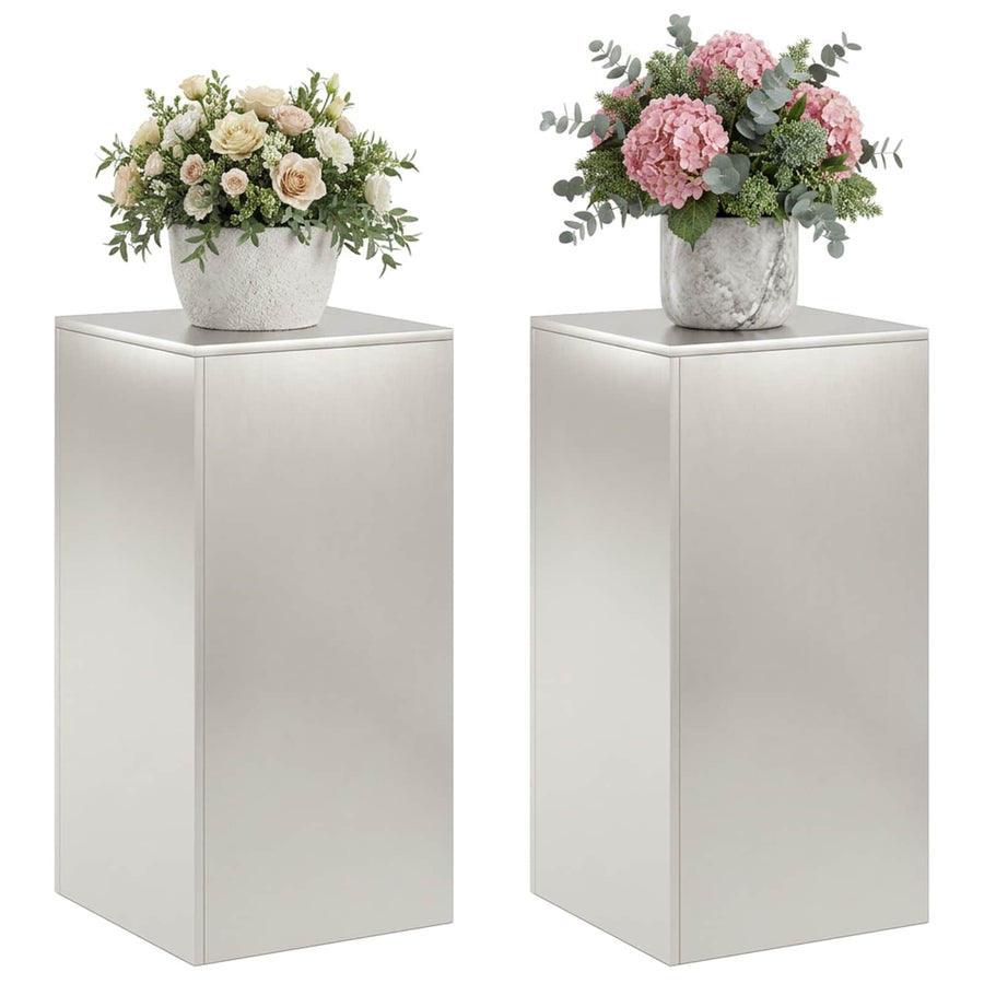 Plantenstandaard 2 pcs zilver 40 x 40 x 80 cm Staal