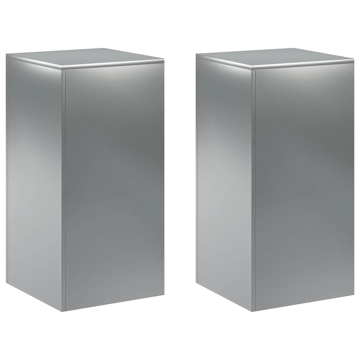 Plantenstandaard 2 pcs zilver 40 x 40 x 80 cm Roestvrij staal