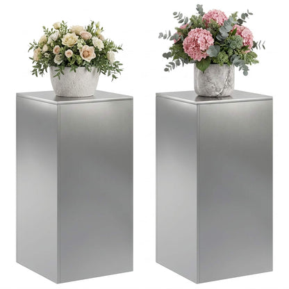 Plantenstandaard 2 pcs zilver 40 x 40 x 80 cm Roestvrij staal