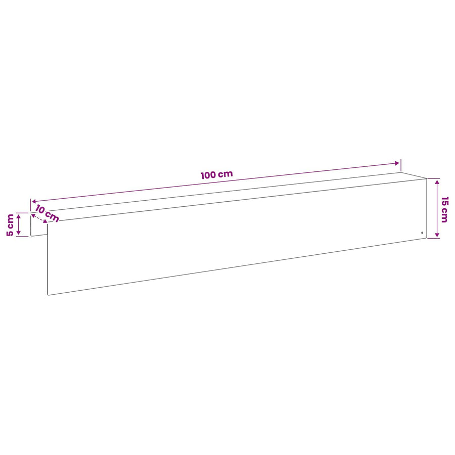 Afdekprofiel voor tuinafboording 2 st 100 x 10 x 15 cm Staal