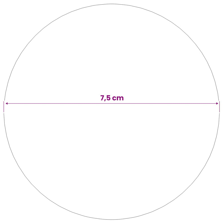 Geborstelde Bal 6 st Ø 7,5 cm zilver RVS 201