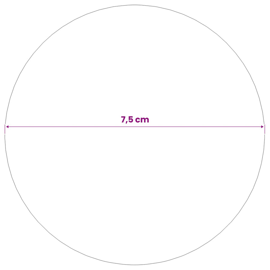 Spiegelbol 6 st Ø 7,5 cm zilver RVS 201