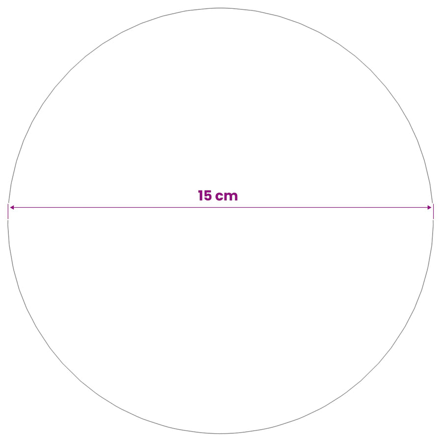 Spiegelbol 2 st Ø 15 cm zilver RVS 201