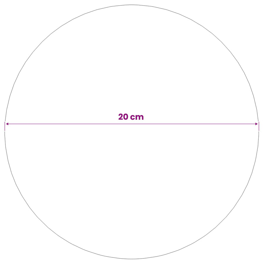 Spiegelbol Ø 20 cm zilver RVS 201