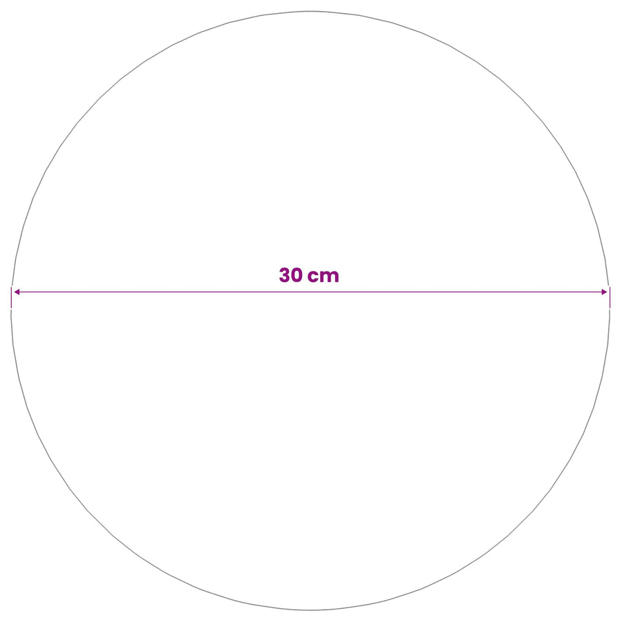 Spiegelbol Ø 30 cm zilver RVS 201