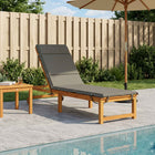 Ligstoel Kussen GEMERT 100% Polyester Grijs 200 x 50 x 3 cm