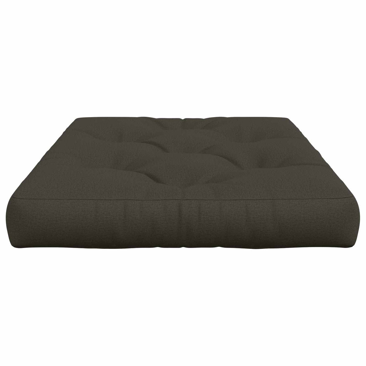 Pallet Zitkussen VIANEN 100% Polyester Antraciet