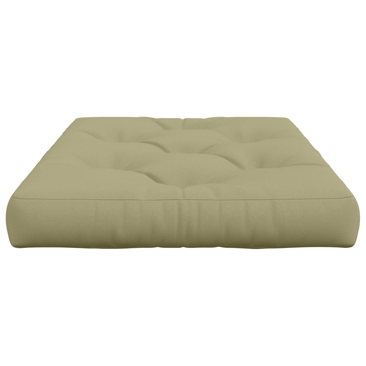 Pallet Zitkussen VIANEN 100% Polyester Lichtgroen