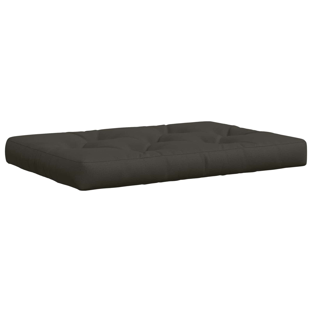 Pallet Zitkussen VIANEN 100% Polyester Antraciet