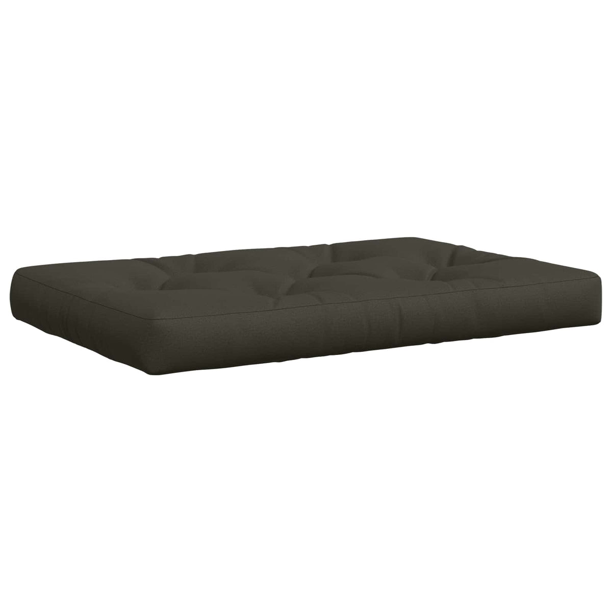 Pallet Zitkussen VIANEN 100% Polyester Antraciet
