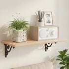Wandplank beugels set 2 st staal antiek bruin 12x14x3 cm