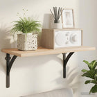 Wandplank beugels 2 st zwart 10x10x3 cm staal