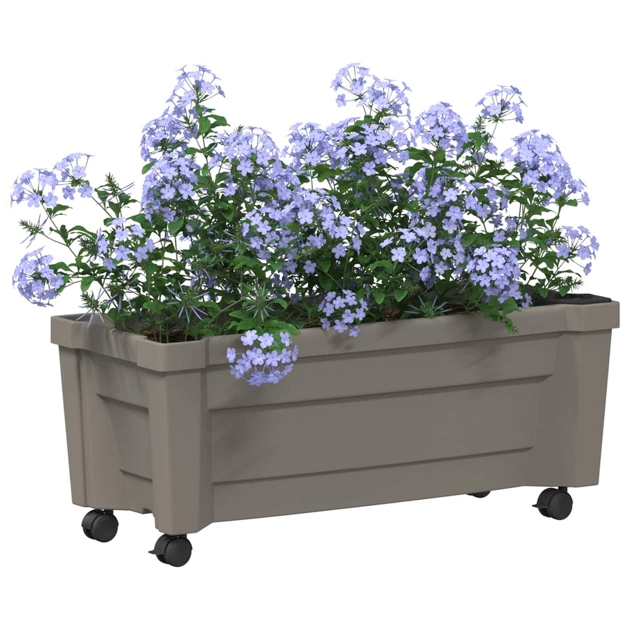 Calypso plantenbak met wielen Grijs 79 x 35 x 33 cm PP