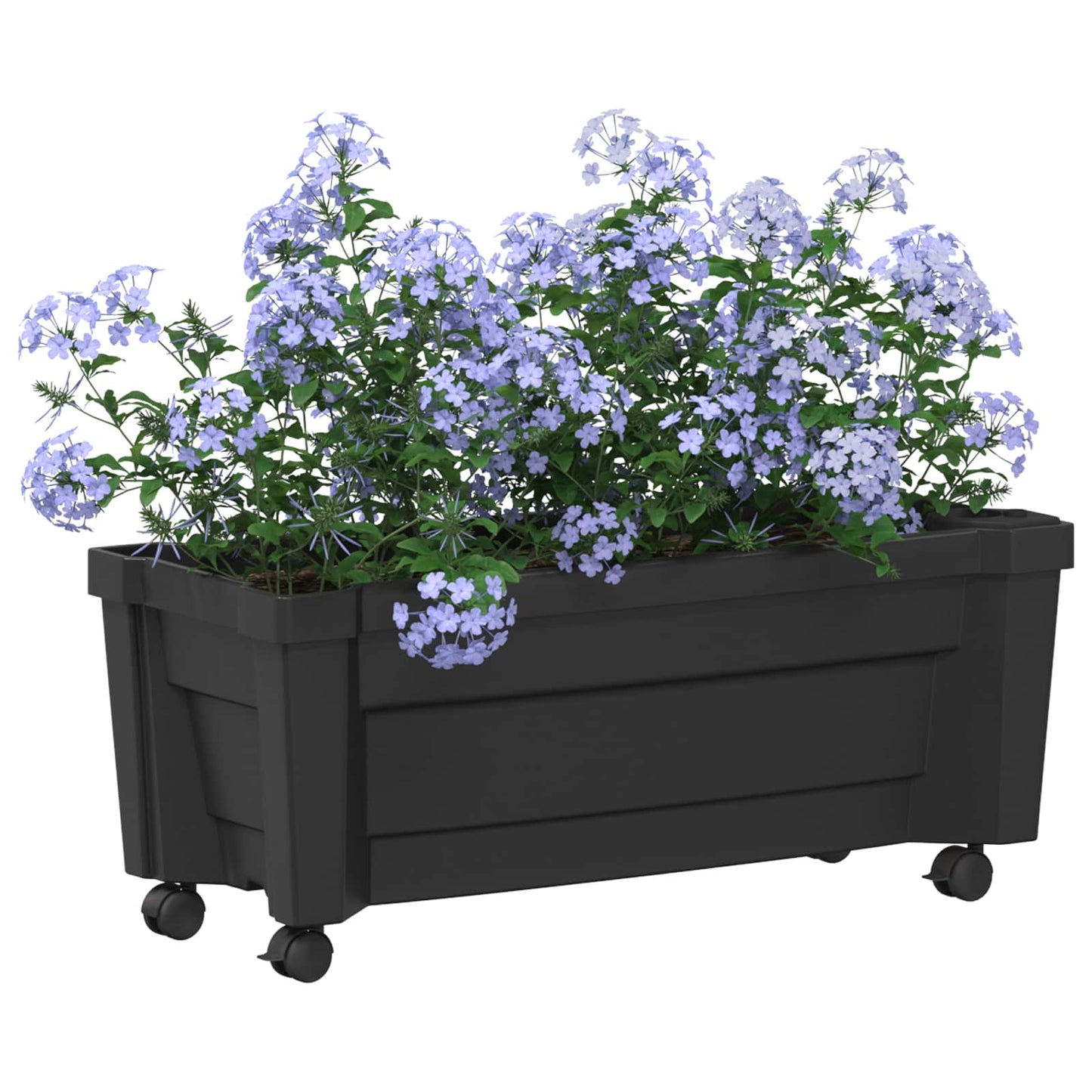 Calypso plantenbak met wielen Antracietkleurig 79 x 35 x 33 cm
