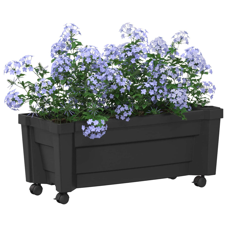Calypso plantenbak met wielen Antracietkleurig 79 x 35 x 33 cm