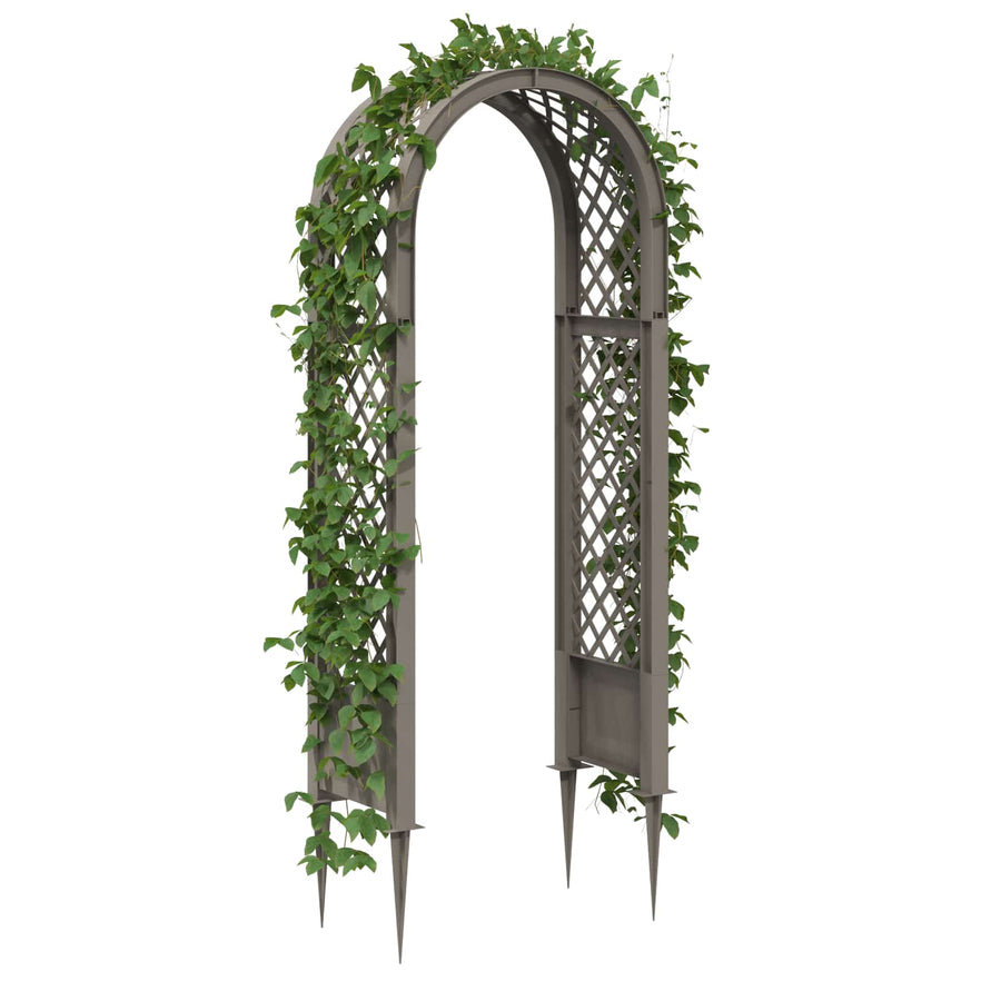 Rozenboog met Stekels Grijs 97 x 43 x 218 cm PP