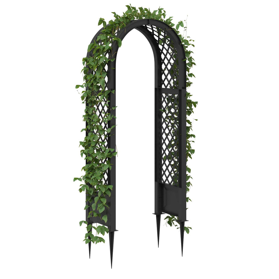 Rozenboog met Stekels Antracietkleurig 97 x 43 x 218 cm PP