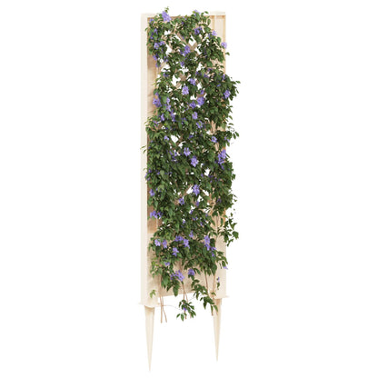 Trellis met Spike Wit 43 x 6 x 165 cm PP