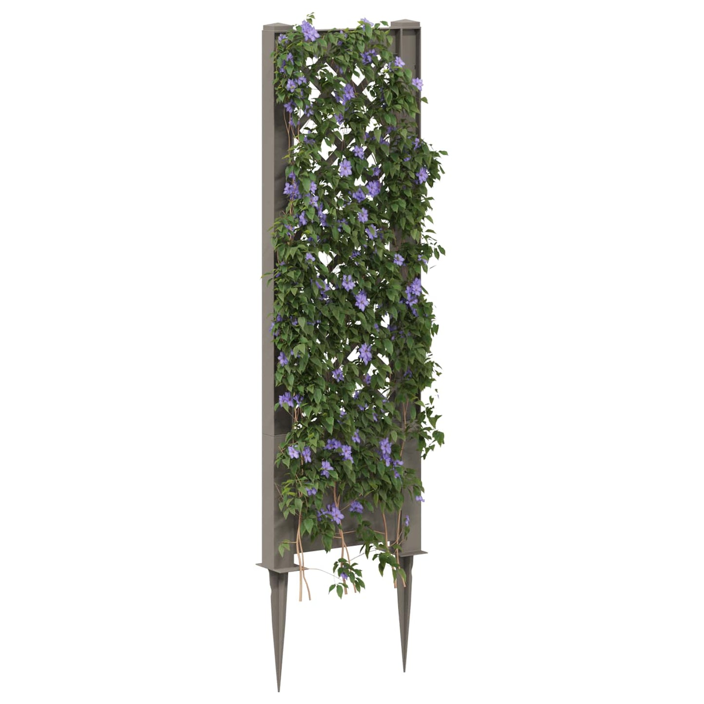 Trellis met Spike Grijs 43 x 6 x 165 cm PP
