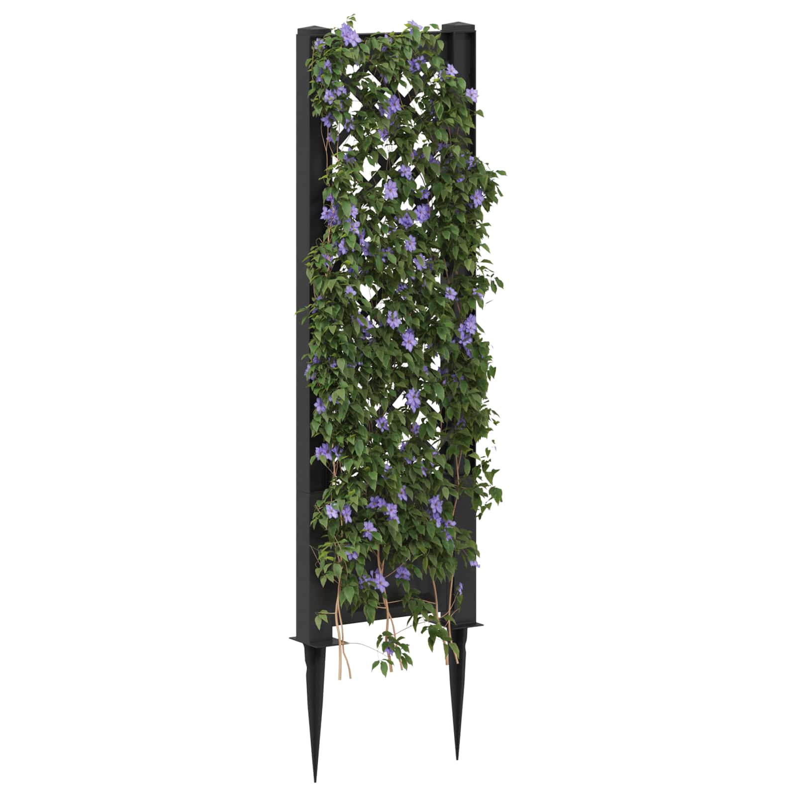 Trellis met Spike Antracietkleurig 43 x 6 x 165 cm PP