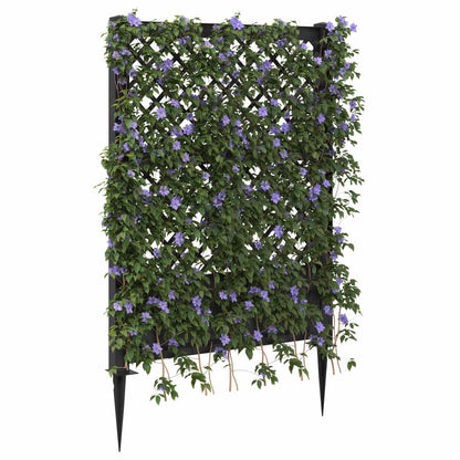 Trellis met Spike Antracietkleurig 99 x 6 x 165 cm PP