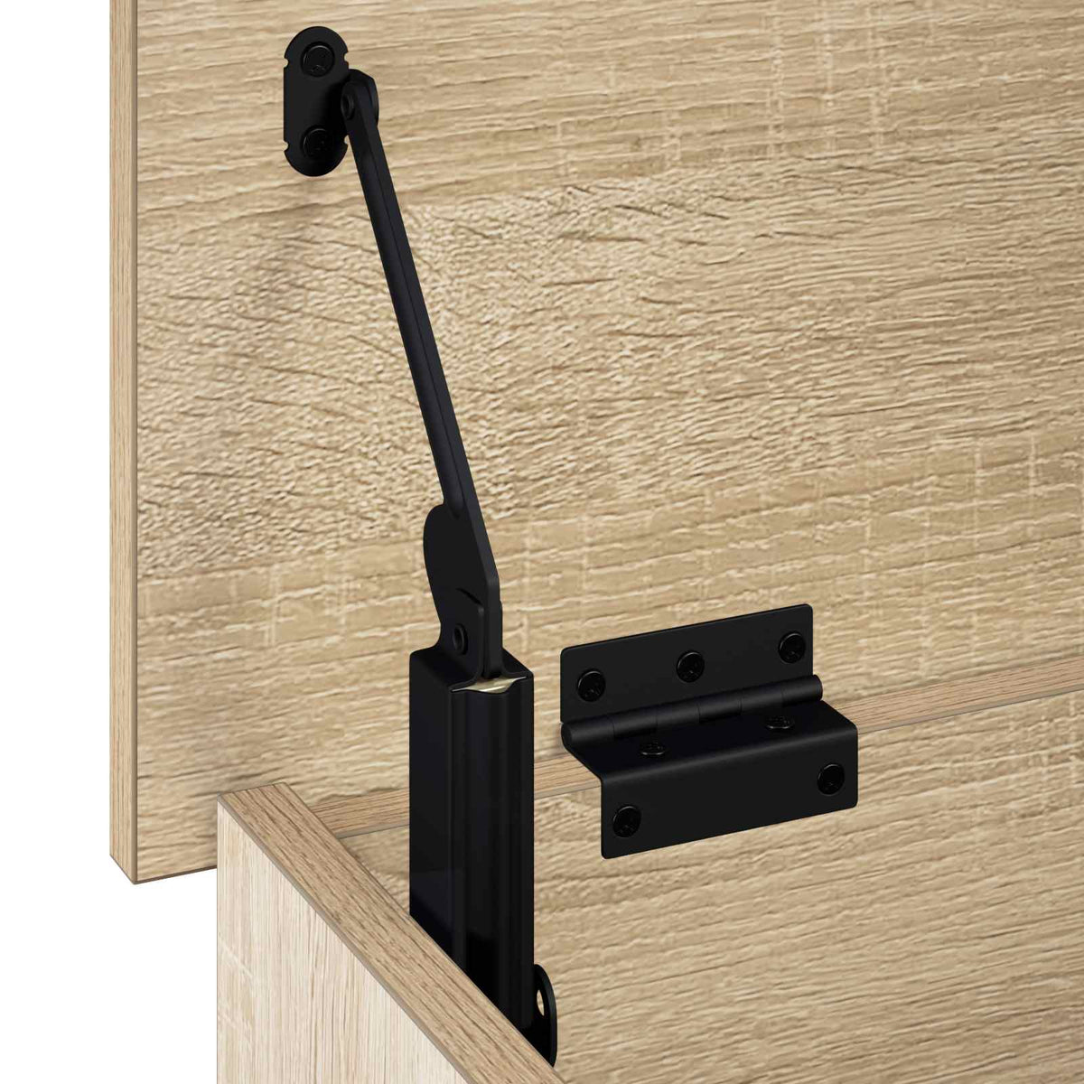 Opbergbox Sonoma Eiken 80 x 40 x 49,5 cm Bewerkt hout