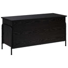 Opbergbox zwart eiken 100x40x49,5 cm