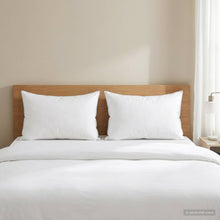 Hoofdkussen 2 st 50 x 75 cm Australisch Wol Wit