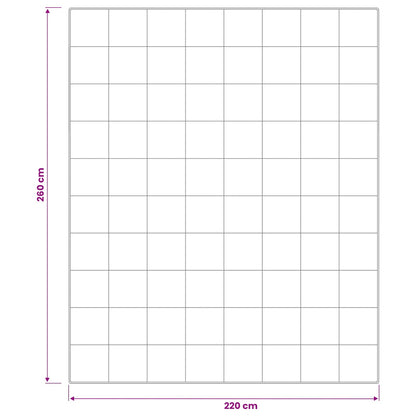 Dekbed en Kussen Set 3 st 220x260 cm Zomer 140 GSM Wol Wit