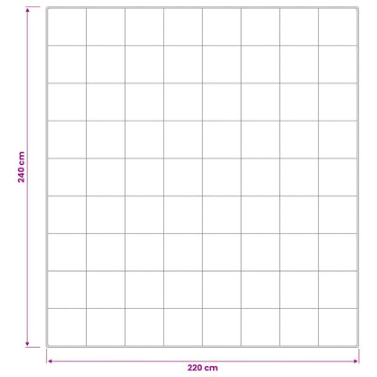 Dekbed en Kussen Set 3 st 220x240 cm Zomer 200 GSM Wol Wit
