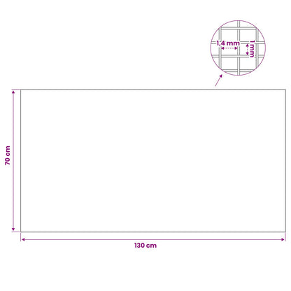 Lichtschachtdeksel met clips 2 st 70 x 130 cm RVS 201 zilver