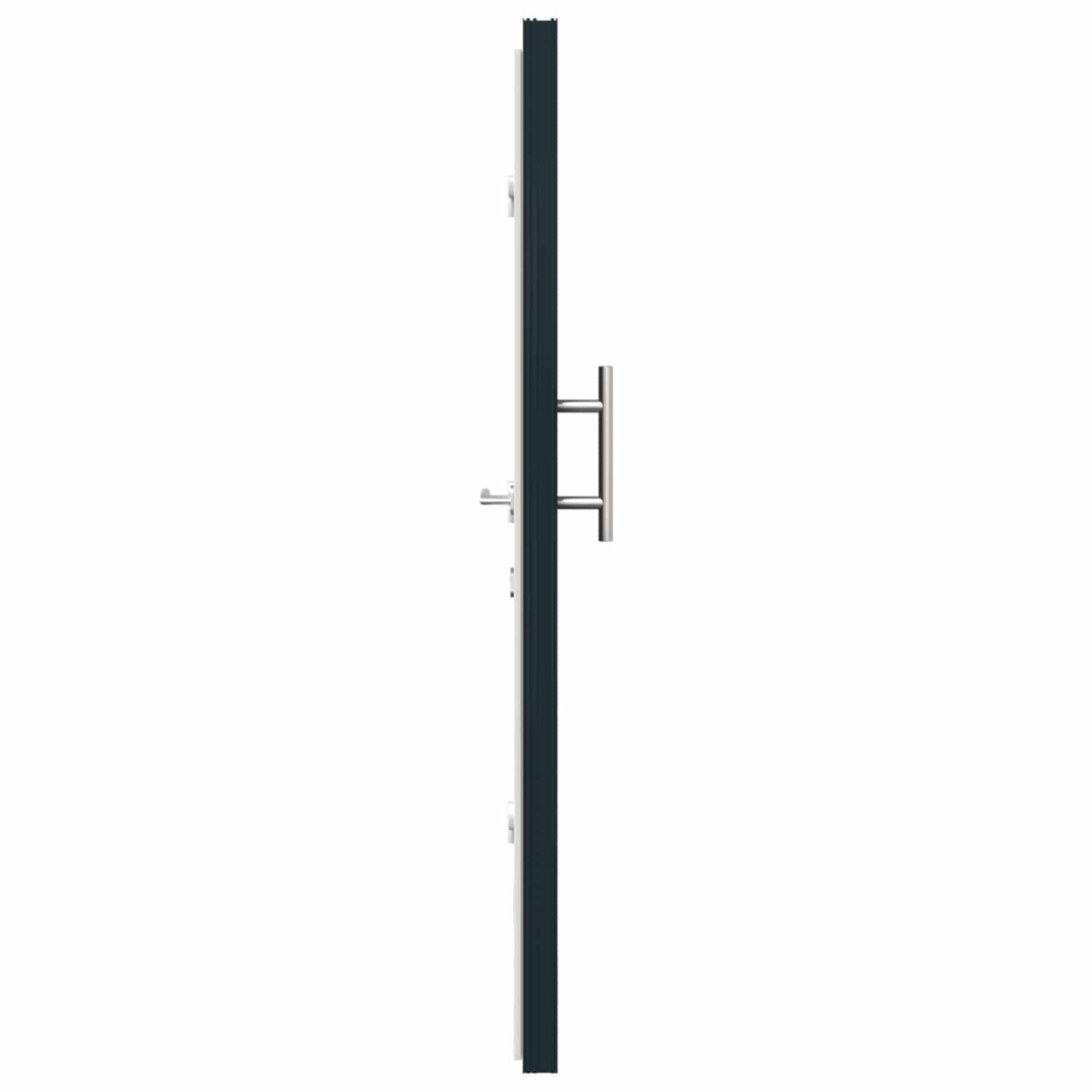 Voordeur Antracietkleurig 88 x 200 cm PVC