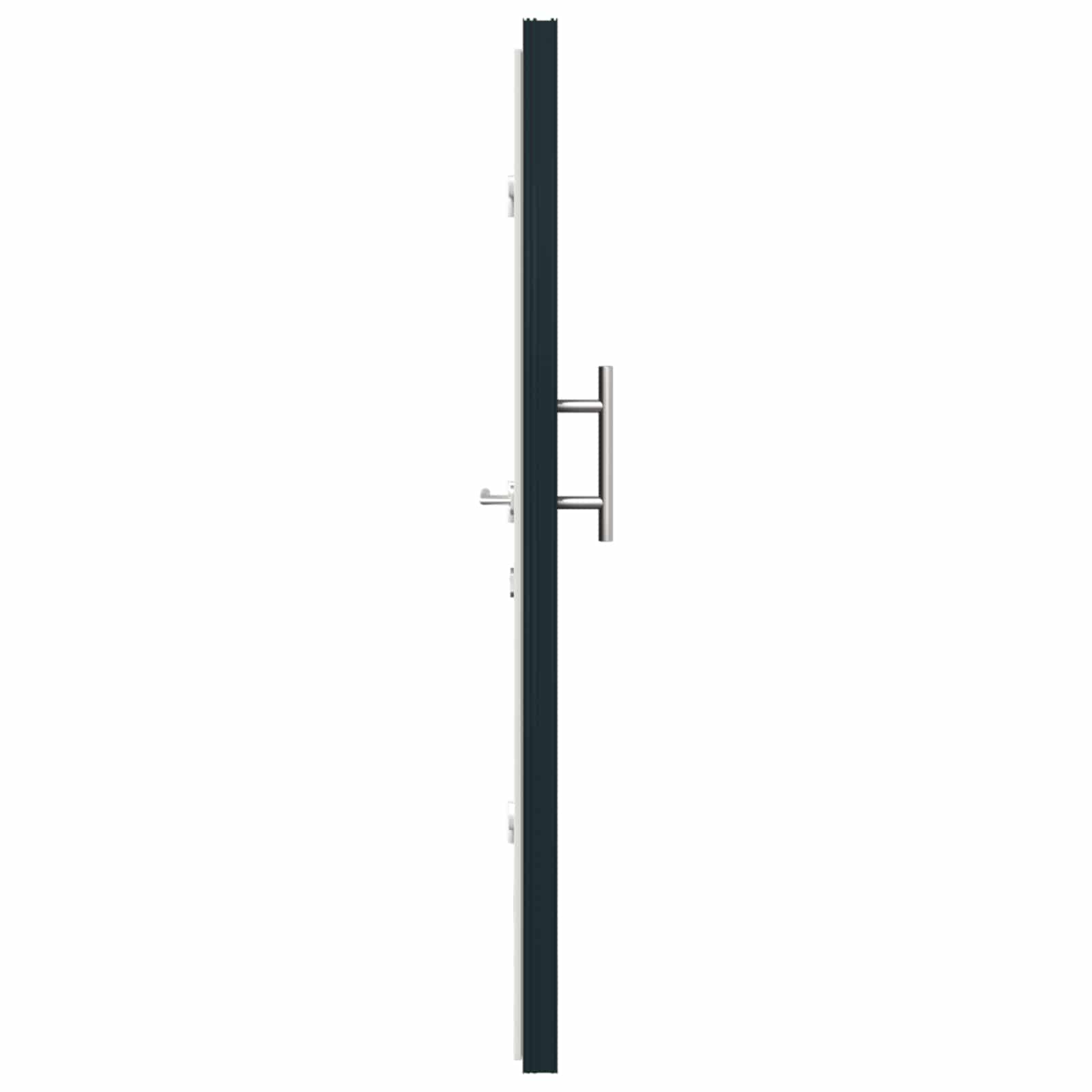 Voordeur Antracietkleurig 88 x 200 cm PVC
