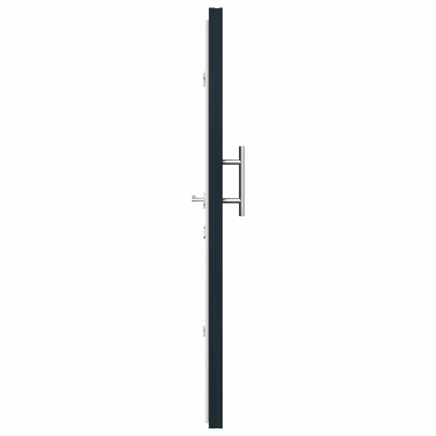 Voordeur Antracietkleurig 98 x 200 cm PVC