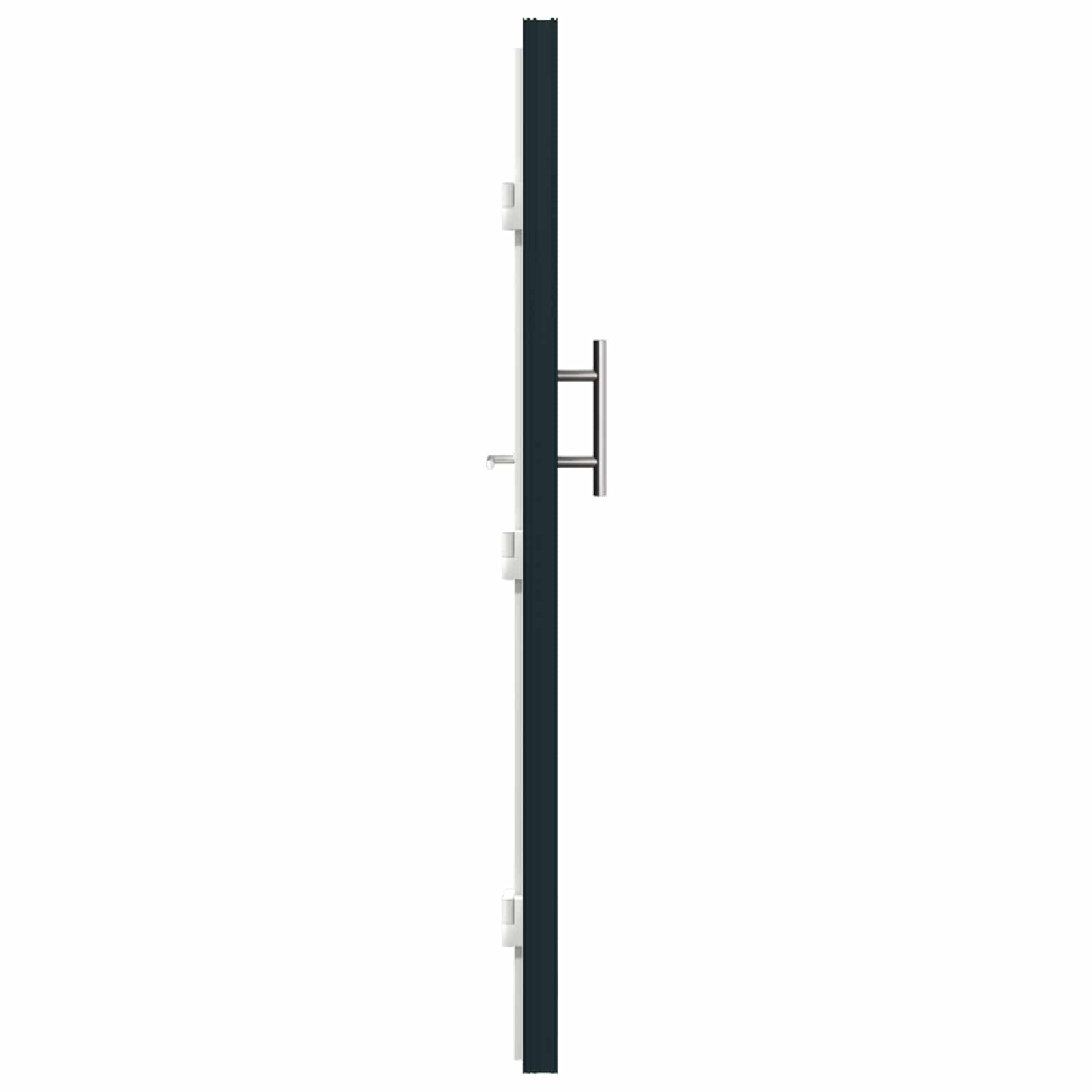 Voordeur Antracietkleurig 98 x 200 cm PVC