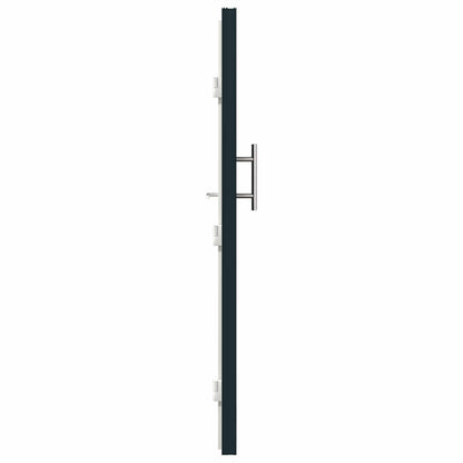 Voordeur Antracietkleurig 98 x 200 cm PVC