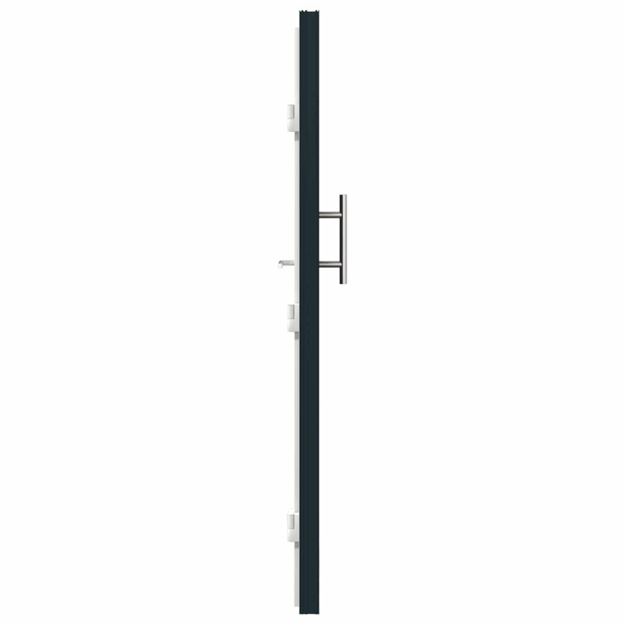 Voordeur Antracietkleurig 98 x 200 cm PVC