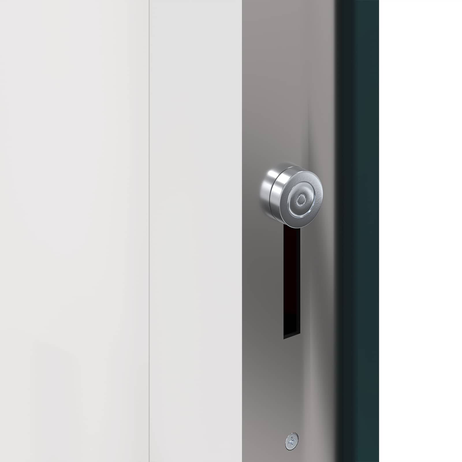 Voordeur Antracietkleurig 88 x 200 cm PVC
