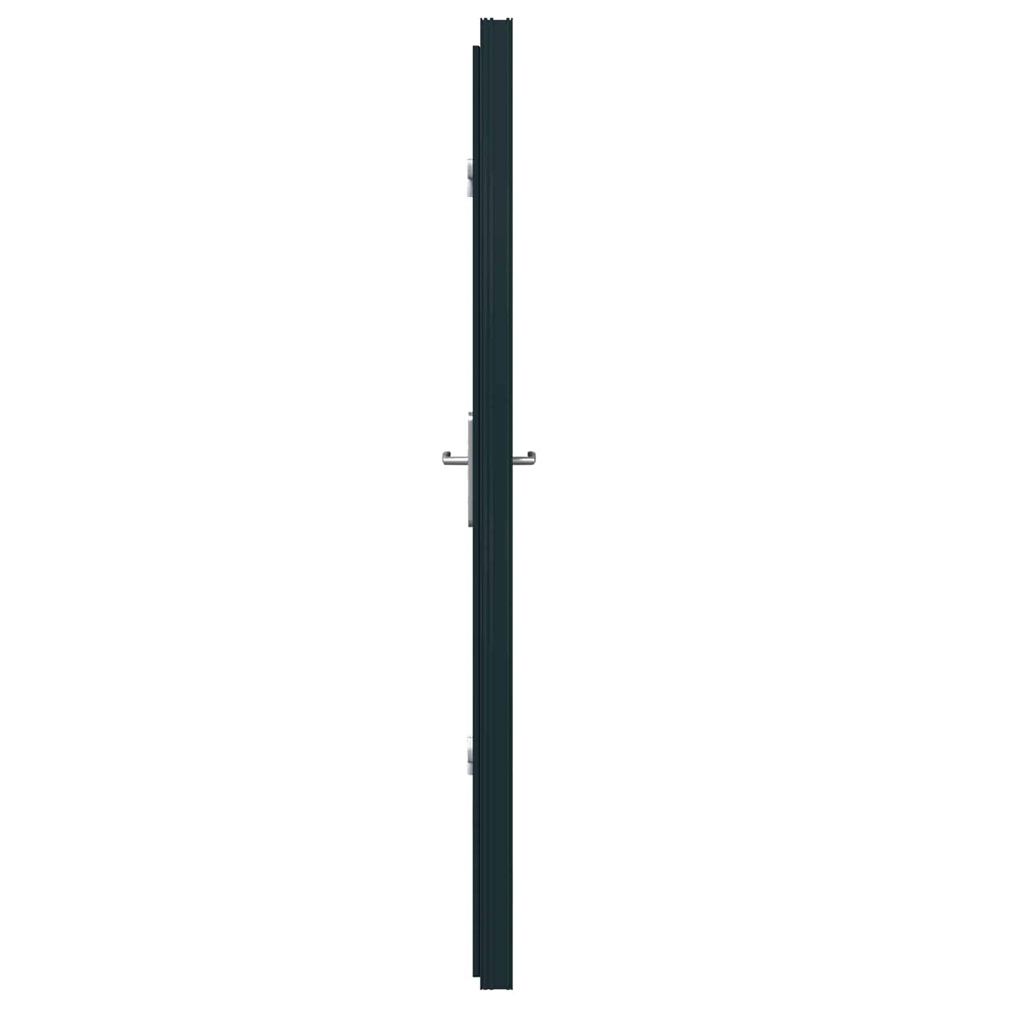 Voordeur Antracietkleurig 98 x 200 cm PVC