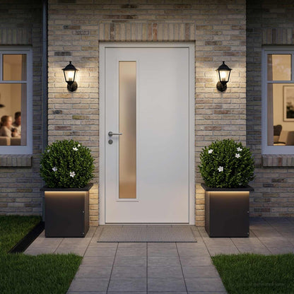 Plantenbak met led 2 st Zwart 30 x 30 x 30 cm Staal