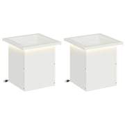 Plantenbak set 2x LED 30x30x30 cm staal wit